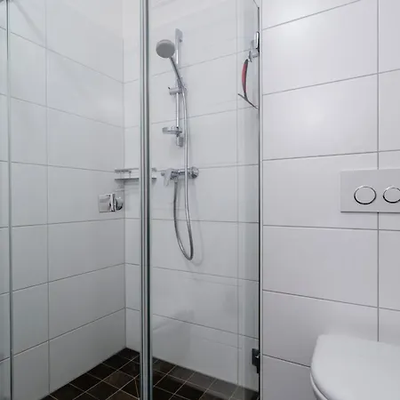 Luxurious Apartment In Zell Am See Near Ski Area